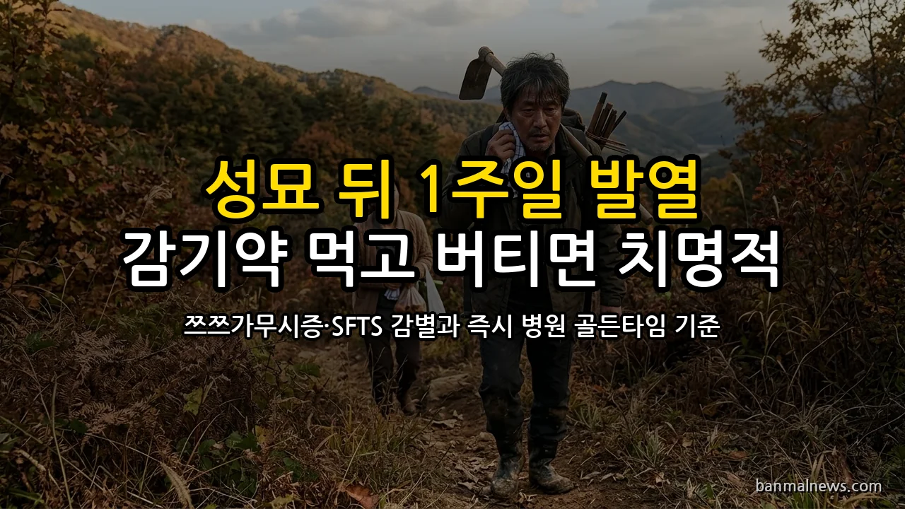성묘 다녀오고 일주일 뒤 열이 났다면 감기가 아니다: 진드기 감염인지 30초에 갈리는 기준